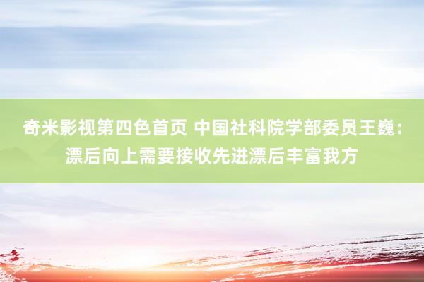 奇米影视第四色首页 中国社科院学部委员王巍：漂后向上需要接收先进漂后丰富我方